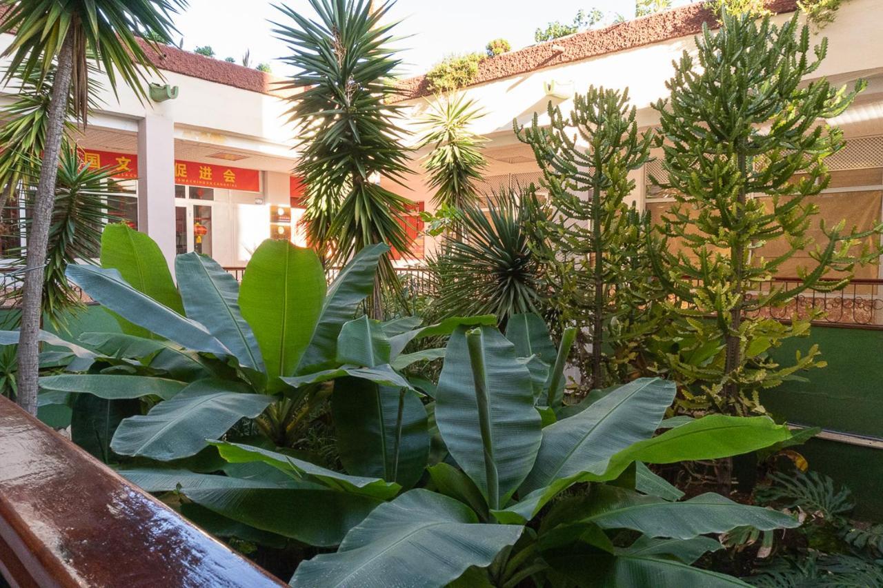 El Dorado, Americas Arona (Tenerife)