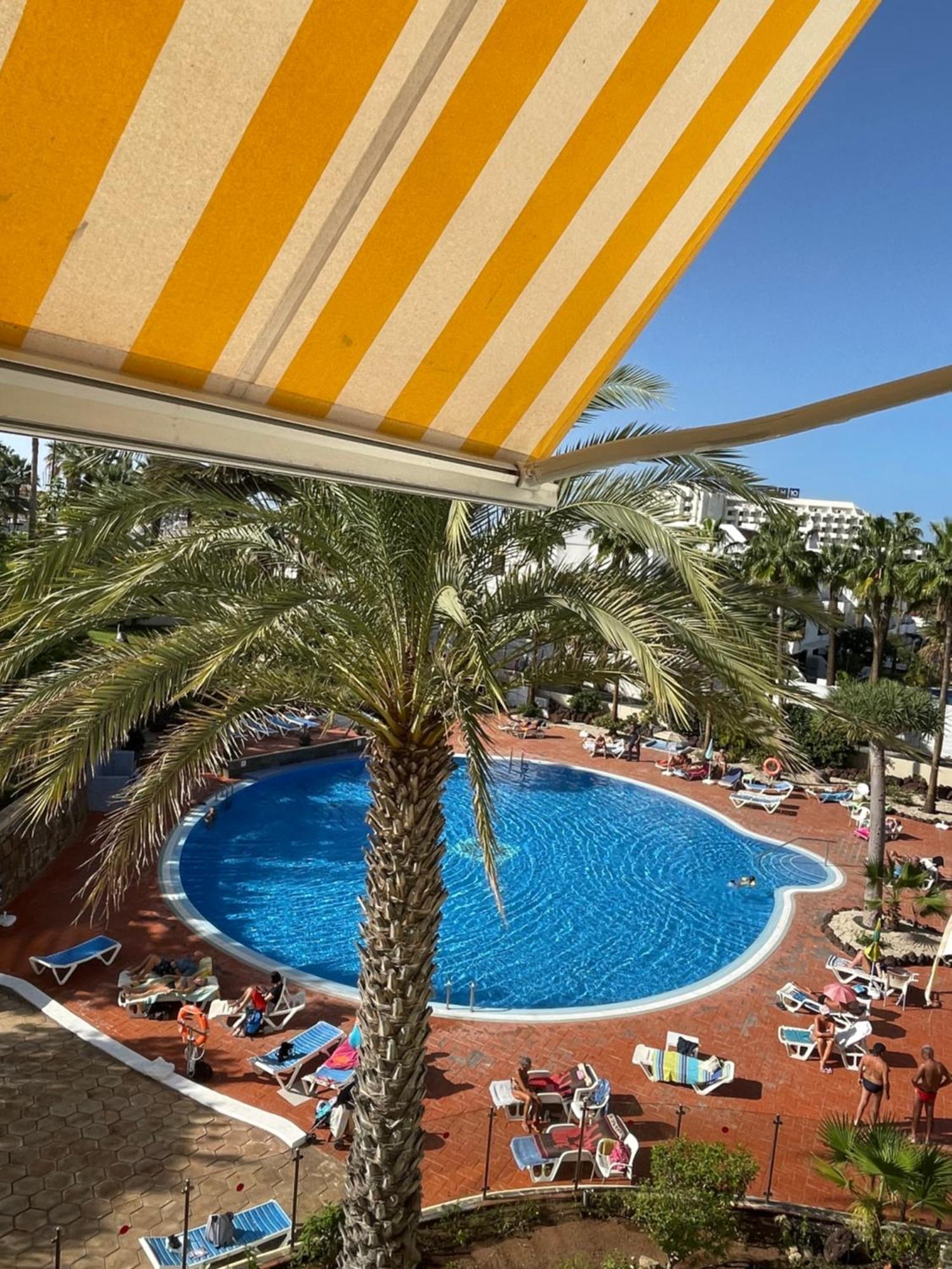Appartement El Dorado, Americas Arona (Tenerife)